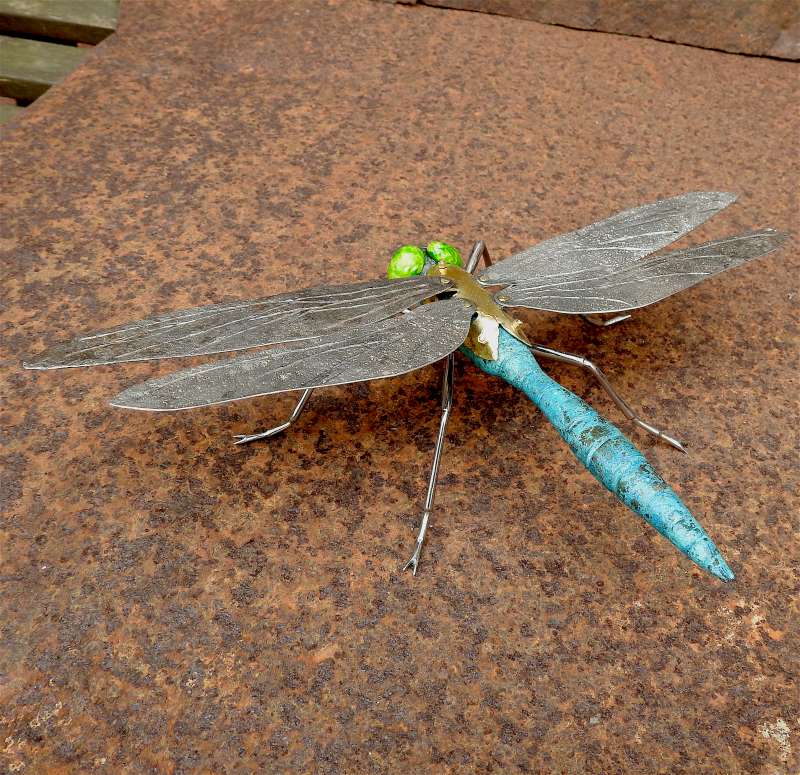 Dragonfly - viewed from the rear
